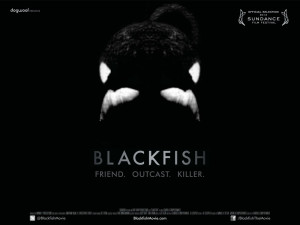 Blackfish - quad poster